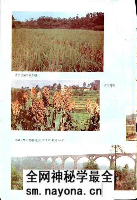 《泸县志》.pdf电子版_四川省志预览图3