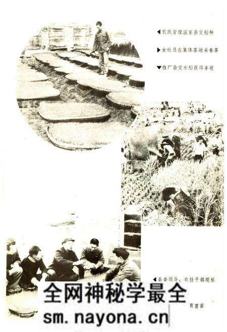《开江县志》.pdf电子版_四川省志预览图4 《开江县志》.pdf电子版_四川省志预览图4