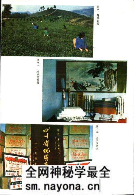《夹江县志》.pdf电子版_四川省志预览图5 《夹江县志》.pdf电子版_四川省志预览图5