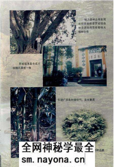 《犍为县林业志》.pdf电子版_四川省志预览图5 《犍为县林业志》.pdf电子版_四川省志预览图5
