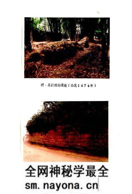 《彭山县凤鸣镇志》.pdf电子版_四川省志预览图4 《彭山县凤鸣镇志》.pdf电子版_四川省志预览图4