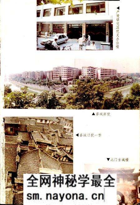 《严陵镇志》.pdf电子版_四川省志预览图3 《严陵镇志》.pdf电子版_四川省志预览图3