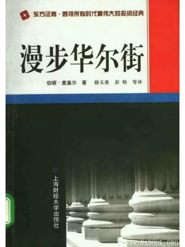 《漫步华尔街》封面图片
