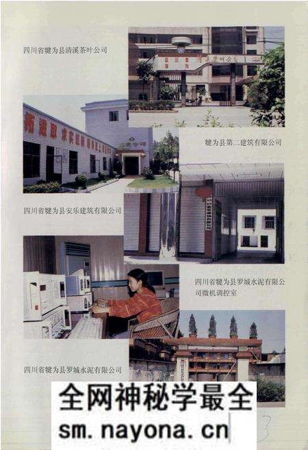 《犍为县乡镇企业志》.pdf电子版_四川省志预览图4 《犍为县乡镇企业志》.pdf电子版_四川省志预览图4