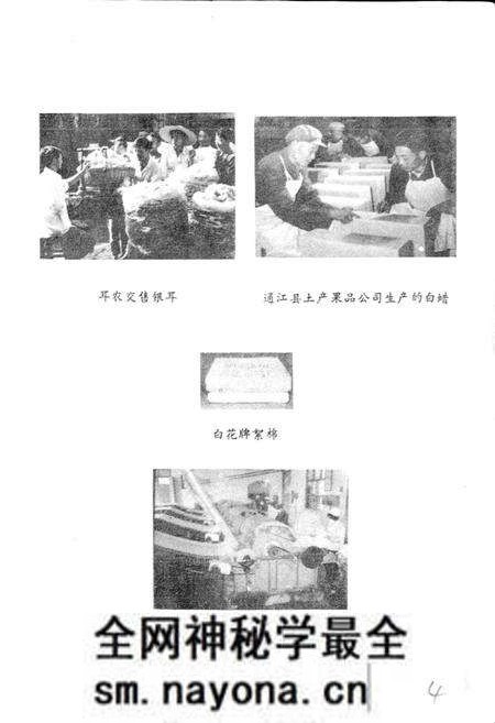 《通江县供销合作志》.pdf电子版_四川省志预览图5