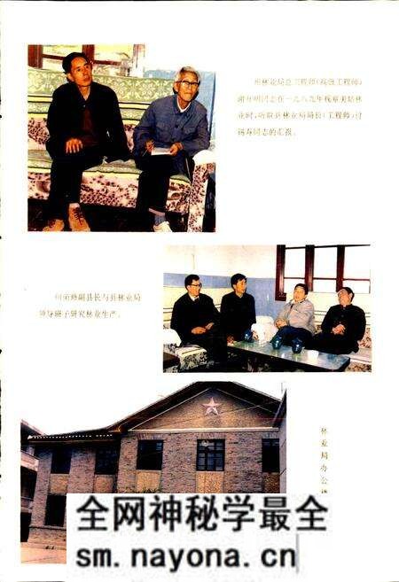 《美姑县林业志》.pdf电子版_四川省志预览图5