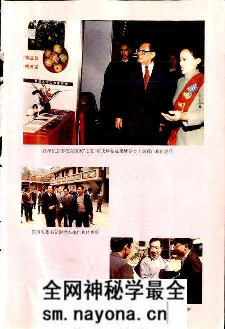 《仁和区少数民族志》.pdf电子版_四川省志预览图4 《仁和区少数民族志》.pdf电子版_四川省志预览图4