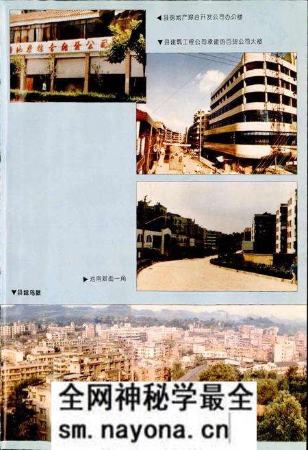 《乐至县志》.pdf电子版_四川省志预览图4 《乐至县志》.pdf电子版_四川省志预览图4