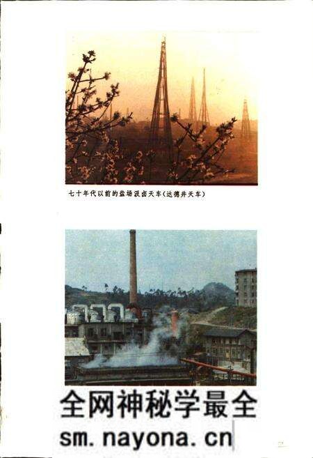 《自贡市工业志》.pdf电子版_四川省志预览图5 《自贡市工业志》.pdf电子版_四川省志预览图5