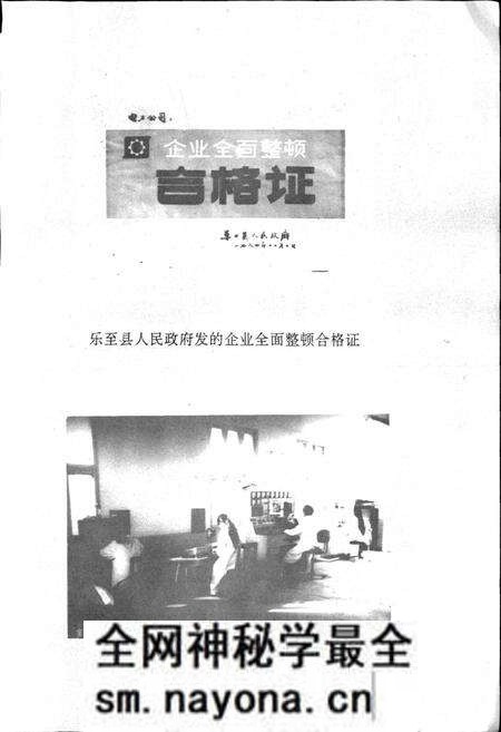 《乐至县电力公司志》.pdf电子版_四川省志预览图3