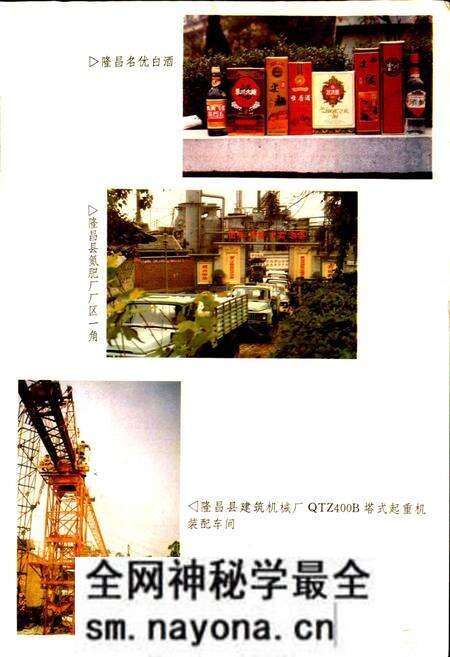 《隆昌县志》.pdf电子版_四川省志预览图4 《隆昌县志》.pdf电子版_四川省志预览图4