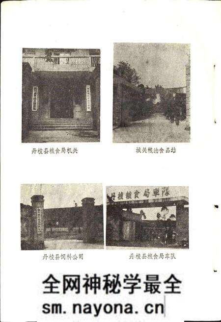 《丹棱县粮食志》.pdf电子版_四川省志预览图3 《丹棱县粮食志》.pdf电子版_四川省志预览图3