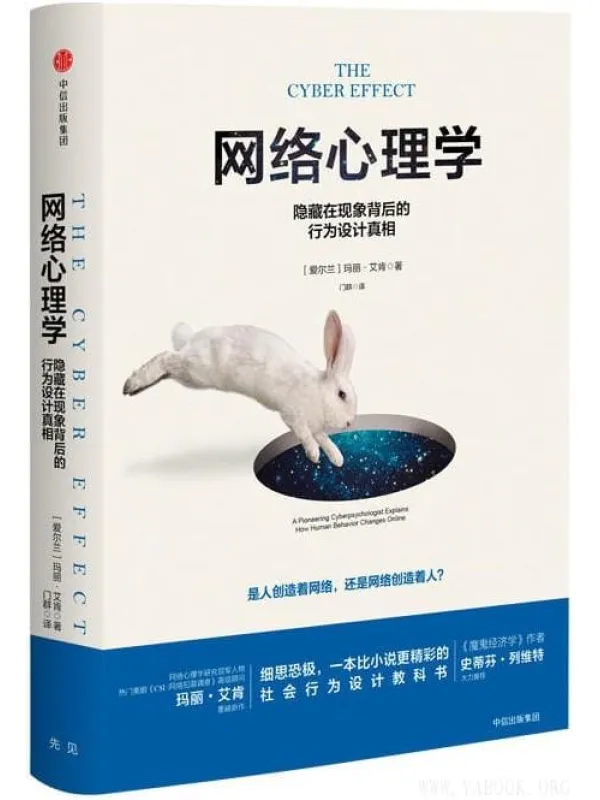 《网络心理学：隐藏在现象背后的行为设计真相》封面图片