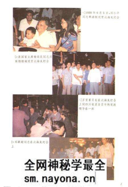 《自贡灯会志》.pdf电子版_四川省志预览图4