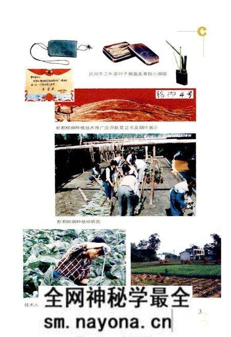 《新都区烟草志》.pdf电子版_四川省志预览图4 《新都区烟草志》.pdf电子版_四川省志预览图4