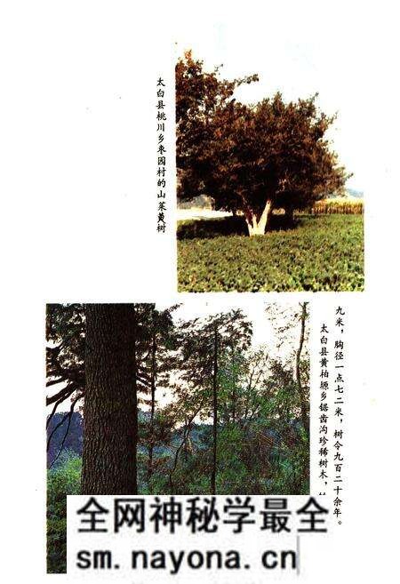 《陕西省宝鸡市林业志》.pdf电子版_陕西省志预览图5 《陕西省宝鸡市林业志》.pdf电子版_陕西省志预览图5