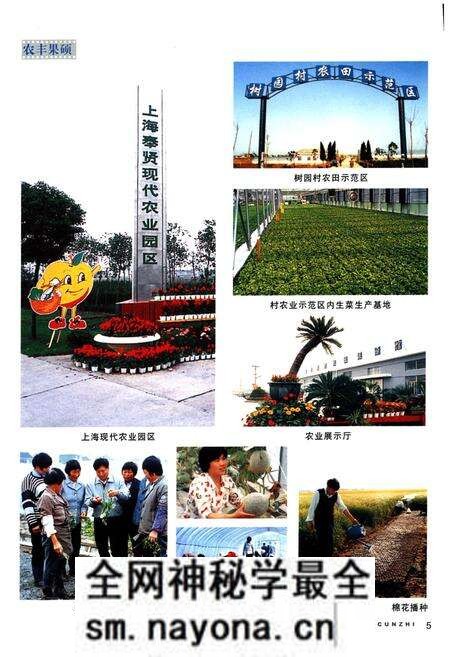 《树园村志》.pdf电子版_上海市志预览图5 《树园村志》.pdf电子版_上海市志预览图5