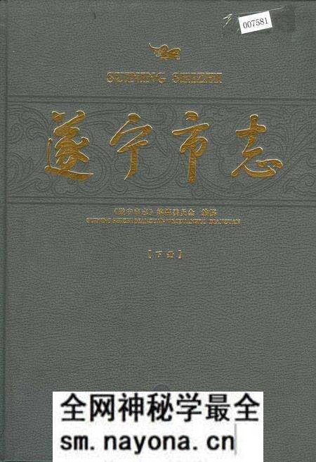《遂宁市志（下册）》.pdf电子版_四川省志预览图