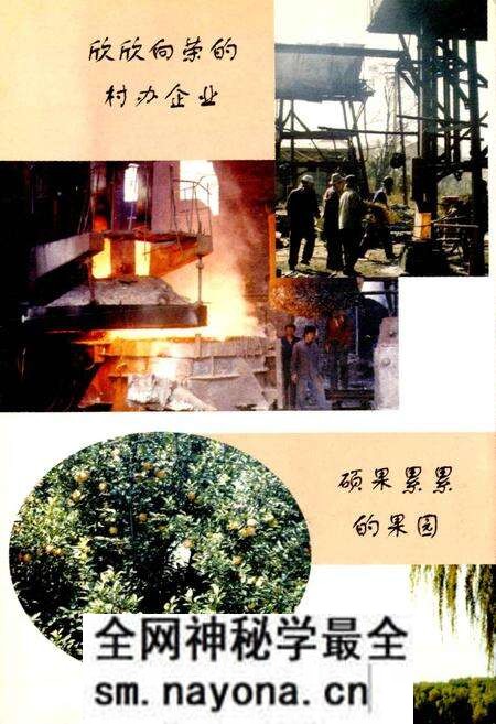 《神山村志》.pdf电子版_山西省志预览图2 《神山村志》.pdf电子版_山西省志预览图2