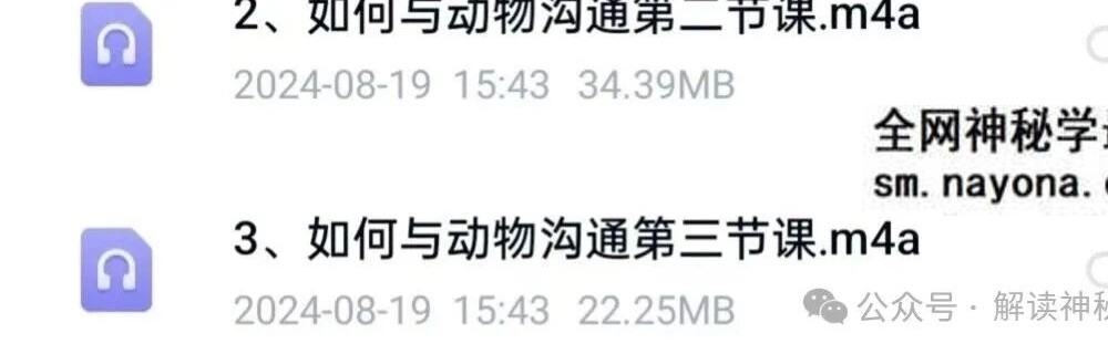 直觉沟通术：如何与动物沟通课程4节音频