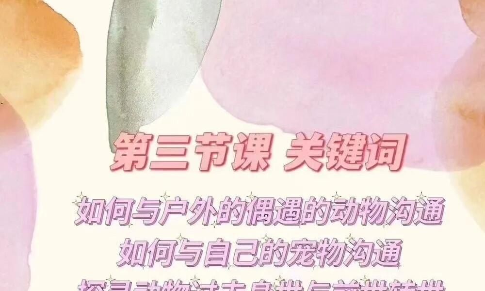 直觉沟通术：如何与动物沟通课程4节音频