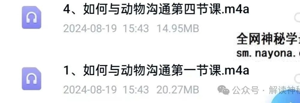 直觉沟通术：如何与动物沟通课程4节音频