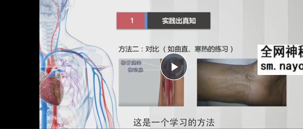 齐向华系统辨证脉学线上课46集