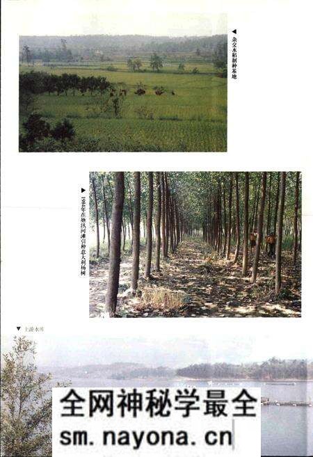 《绵阳（县级）市志》.pdf电子版_四川省志预览图4