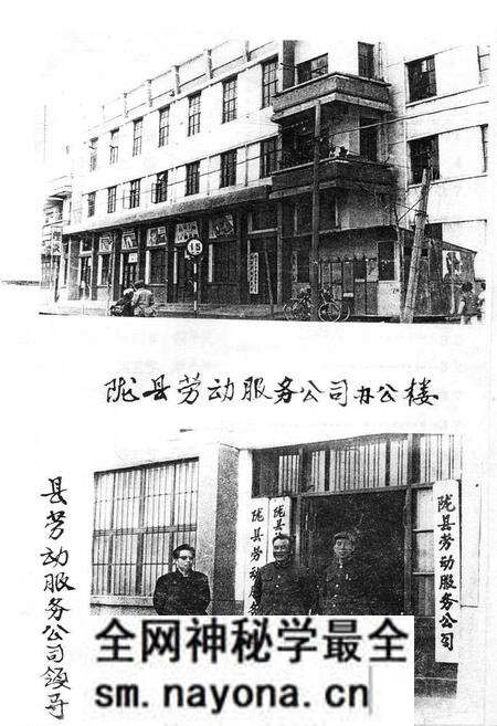 《陇县劳动人事志》.pdf电子版_陕西省志预览图5 《陇县劳动人事志》.pdf电子版_陕西省志预览图5