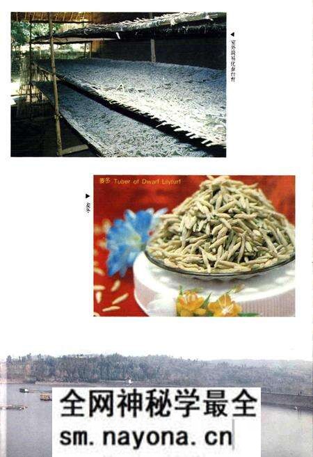《绵阳（县级）市志》.pdf电子版_四川省志预览图5