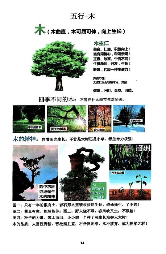 《道家真传八字》142页 八字命理 第5张
