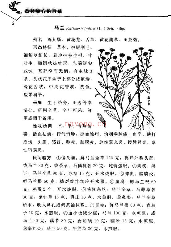 草药验方治百病152页PDF 中医验方
