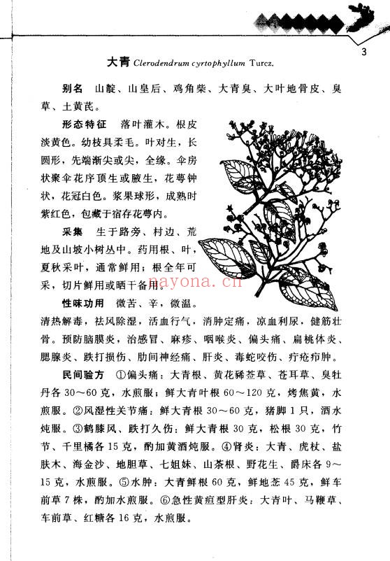 草药验方治百病152页PDF 中医验方