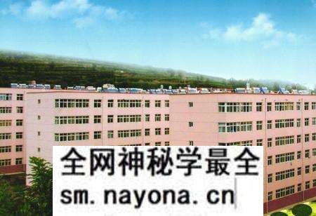 《《四十年东坡矿志》(1970-2010)》.pdf电子版_陕西省志预览图5 《《四十年东坡矿志》(1970-2010)》.pdf电子版_陕西省志预览图5
