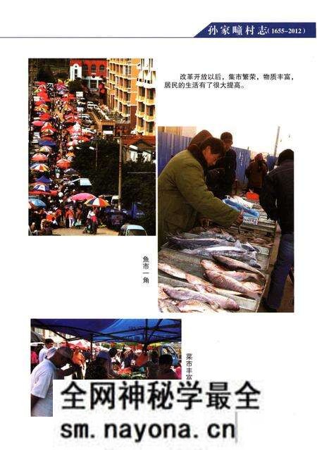《孙家疃村志》.pdf电子版_山东省志预览图4 《孙家疃村志》.pdf电子版_山东省志预览图4