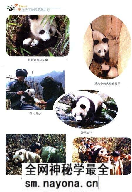 《佛坪自然保护区发展史记》.pdf电子版_陕西省志预览图4 《佛坪自然保护区发展史记》.pdf电子版_陕西省志预览图4