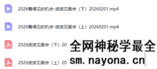 波波-2026看得见的机会12小时波波见面会全程线下课2月1日东莞