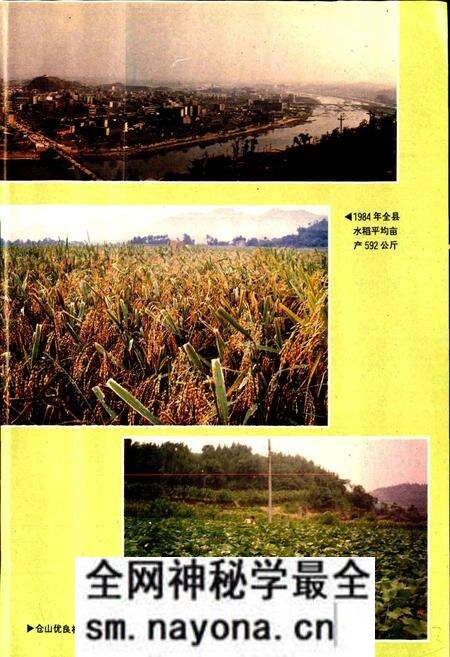 《中江县志》.pdf电子版_四川省志预览图5 《中江县志》.pdf电子版_四川省志预览图5