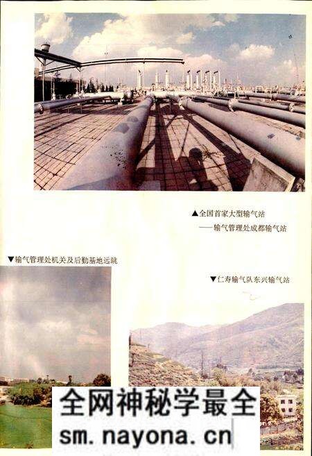 《四川省石油管理局输气管理处志》.pdf电子版_四川省志预览图4 《四川省石油管理局输气管理处志》.pdf电子版_四川省志预览图4