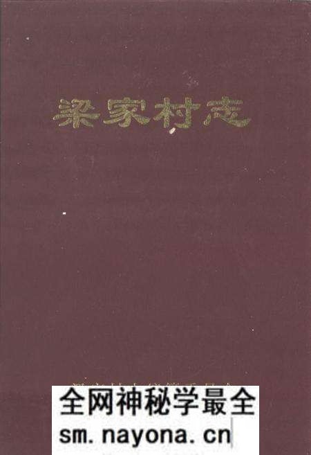 《梁家村志》.pdf电子版_山东省志预览图
