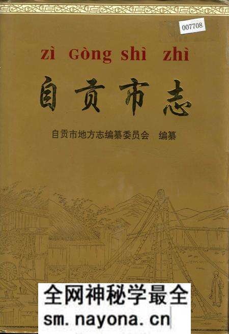 《自贡市志 上》.pdf电子版_四川省志预览图 《自贡市志 上》.pdf电子版_四川省志预览图