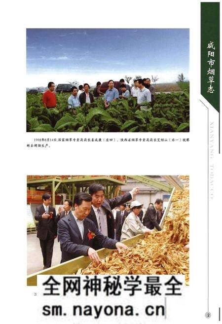 《咸阳市烟草志(1996-2013)》.pdf电子版_陕西省志预览图5 《咸阳市烟草志(1996-2013)》.pdf电子版_陕西省志预览图5
