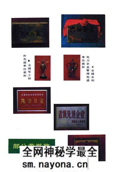 《渭南供电局志》.pdf电子版_陕西省志预览图4 《渭南供电局志》.pdf电子版_陕西省志预览图4