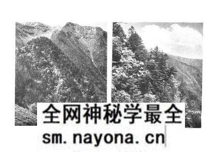 《秦岭植物志·第一卷种子植物(第一册)》.pdf电子版_陕西省志预览图4 《秦岭植物志·第一卷种子植物(第一册)》.pdf电子版_陕西省志预览图4