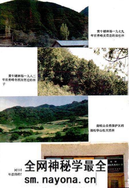 《凤县林业志》.pdf电子版_陕西省志预览图4 《凤县林业志》.pdf电子版_陕西省志预览图4