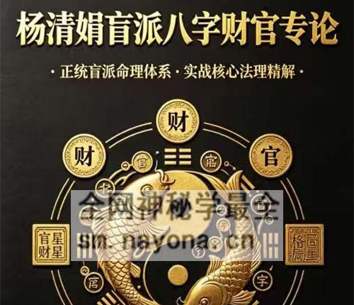 E432杨清娟《盲派八字财官专论》 盲派八字实战宝典PDF电子版358页