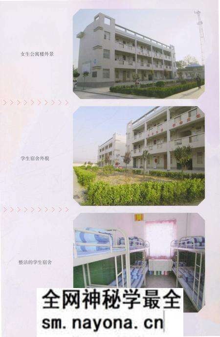 《蒲城县上王镇初级中校志》.pdf电子版_陕西省志预览图4 《蒲城县上王镇初级中校志》.pdf电子版_陕西省志预览图4