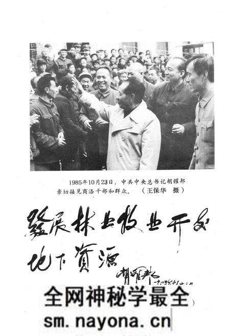 《商洛地区档案志》.pdf电子版_陕西省志预览图3 《商洛地区档案志》.pdf电子版_陕西省志预览图3