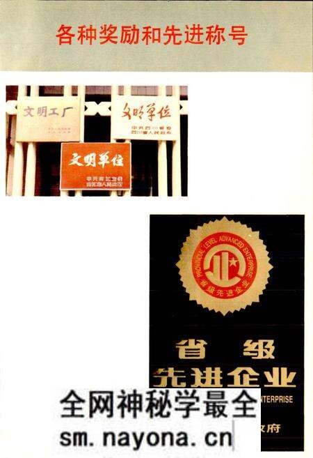 《四川省石油管理局资中机械厂志》.pdf电子版_四川省志预览图5 《四川省石油管理局资中机械厂志》.pdf电子版_四川省志预览图5