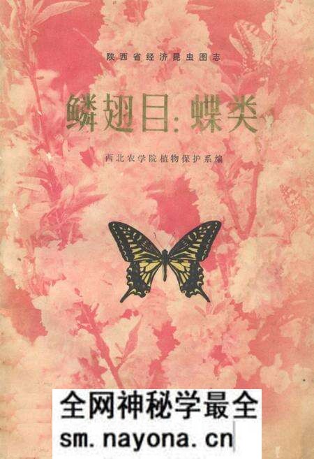 《鳞翅目_蝶类》.pdf电子版_陕西省志预览图 《鳞翅目_蝶类》.pdf电子版_陕西省志预览图